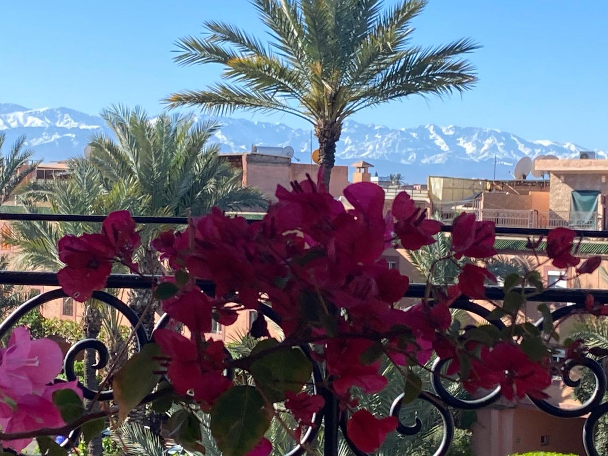 Riad Palmier Fleuri Marakéš Exteriér fotografie