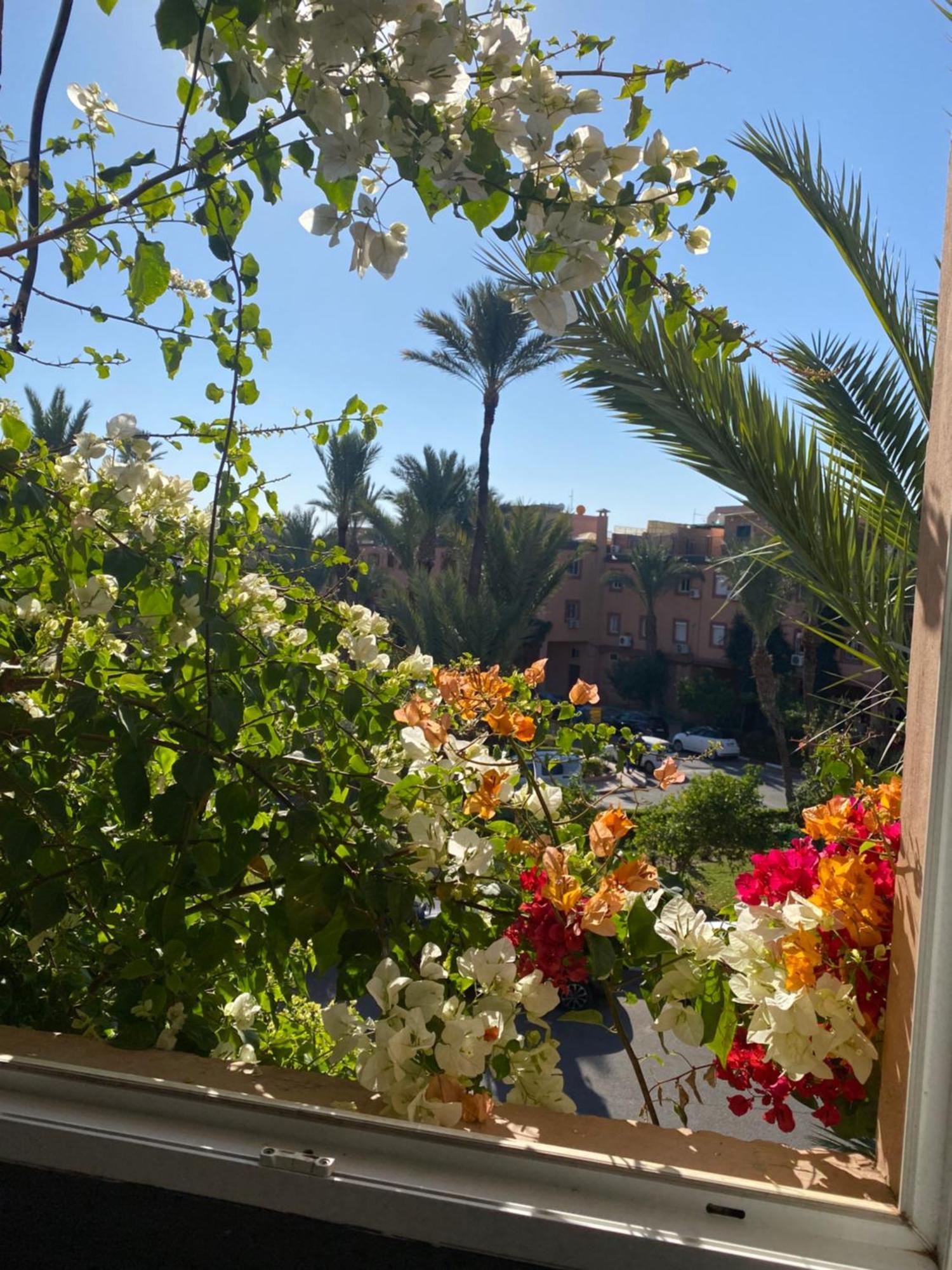 Riad Palmier Fleuri Marakéš Exteriér fotografie
