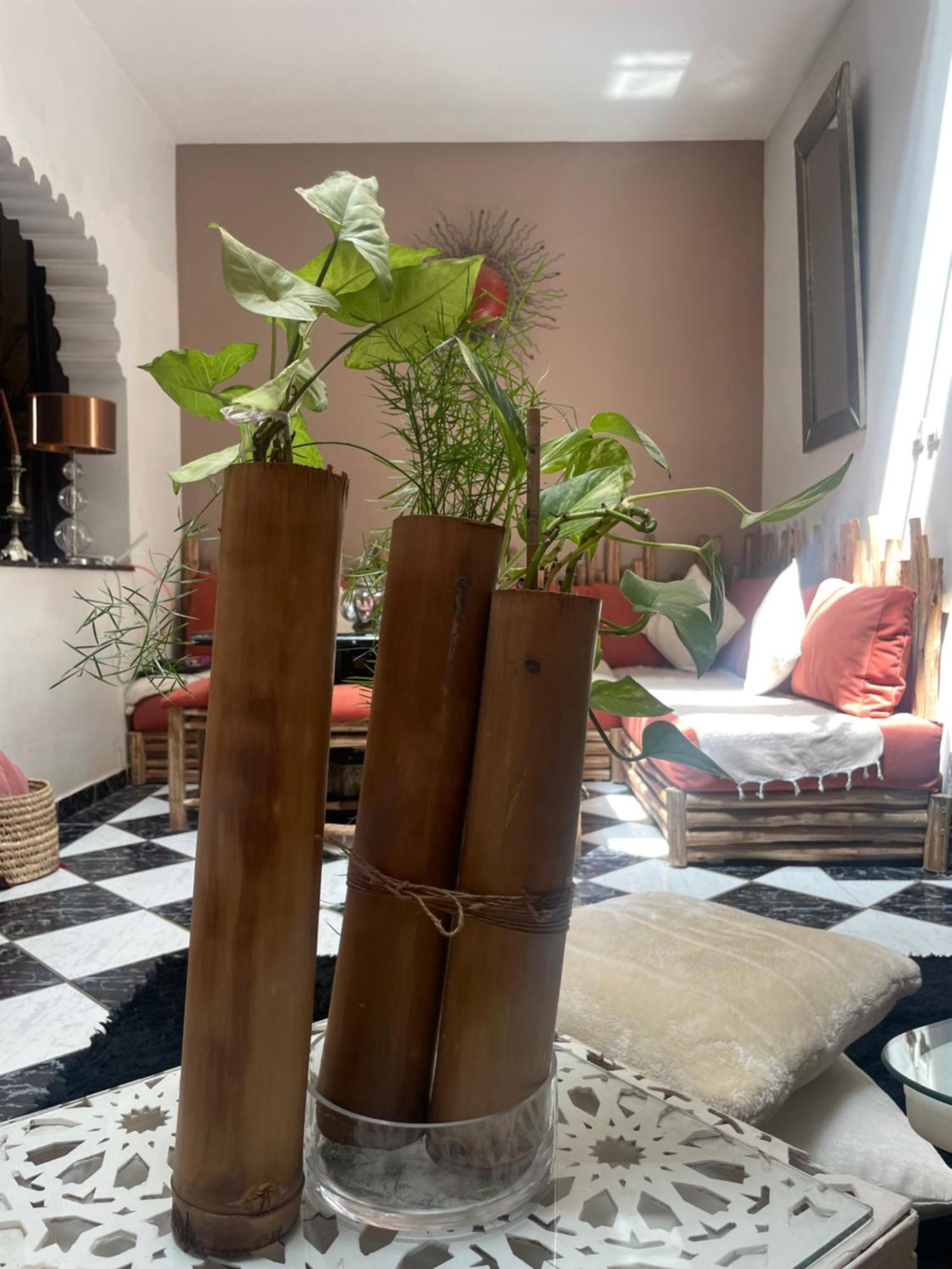 Riad Palmier Fleuri Marakéš Exteriér fotografie